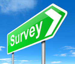Survey Image